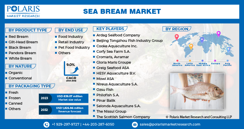 Sea Bream